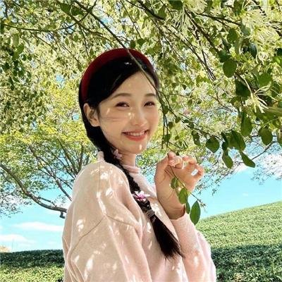 拳风恋影