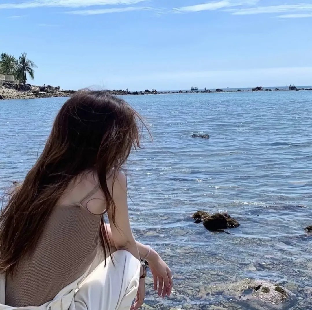 美国派：高潮再起